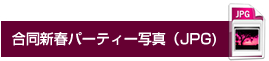 掲載記事のダウンロード(PDF)
